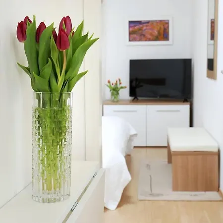 Mist 2 Apartment Split