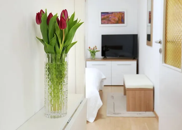 Mist 2 Apartman Split